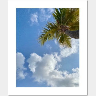 Palm tree and blue sky Posters and Art